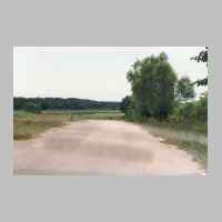 022-1262 Goldbach im Juni 1994. Der hintere Gemeindeweg, der vor den Deimewiesen endet. Mann erkennt vor dem Wald das blaue Band der Deime..jpg